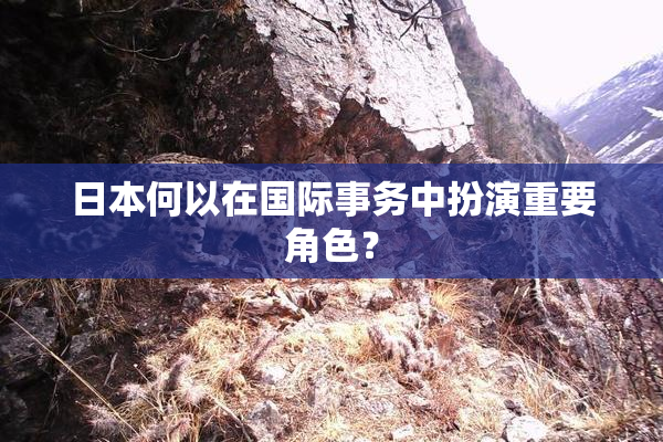 日本何以在国际事务中扮演重要角色？
