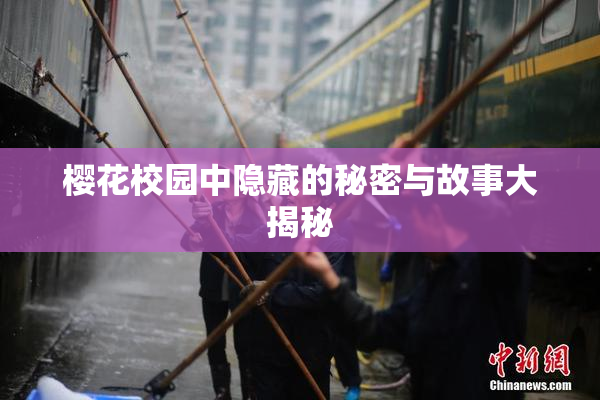 樱花校园中隐藏的秘密与故事大揭秘