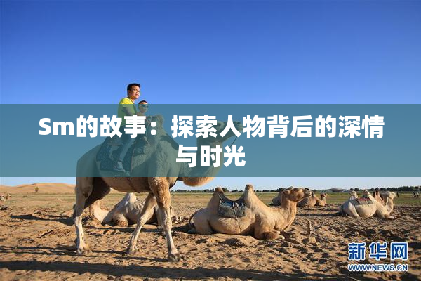 Sm的故事：探索人物背后的深情与时光