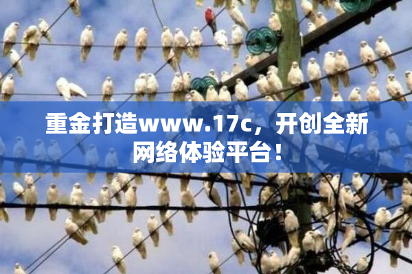 重金打造www.17c，开创全新网络体验平台！