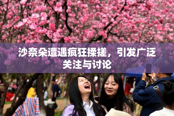 沙奈朵遭遇疯狂揉搓，引发广泛关注与讨论