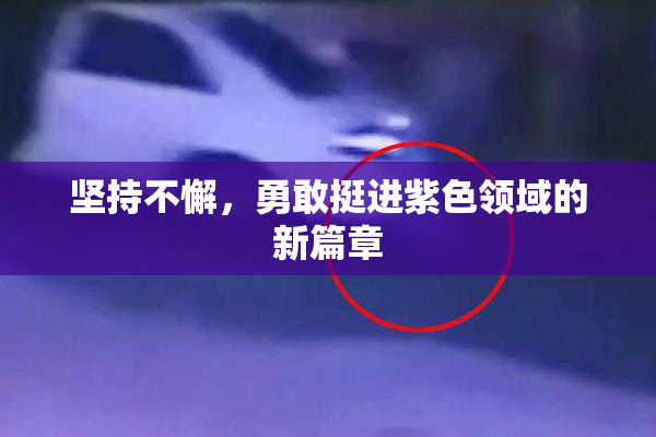 坚持不懈，勇敢挺进紫色领域的新篇章