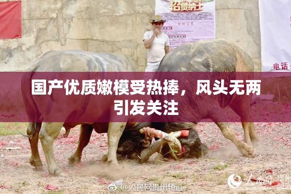 国产优质嫩模受热捧，风头无两引发关注