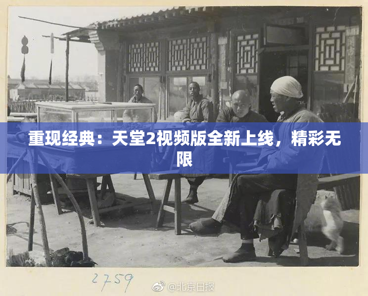重现经典：天堂2视频版全新上线，精彩无限