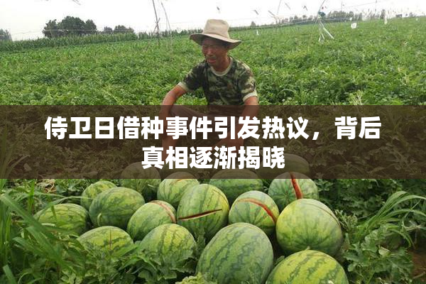 侍卫日借种事件引发热议，背后真相逐渐揭晓