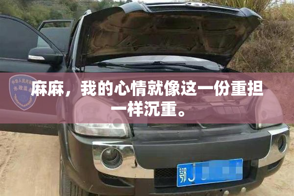 麻麻，我的心情就像这一份重担一样沉重。