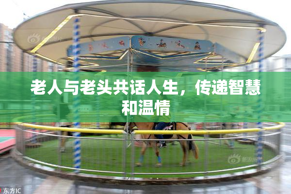 老人与老头共话人生，传递智慧和温情