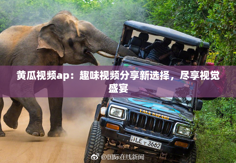 黄瓜视频ap：趣味视频分享新选择，尽享视觉盛宴