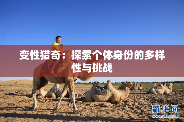 变性猎奇：探索个体身份的多样性与挑战