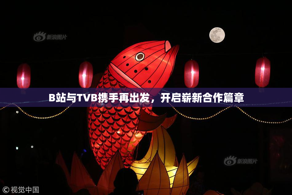 B站与TVB携手再出发，开启崭新合作篇章