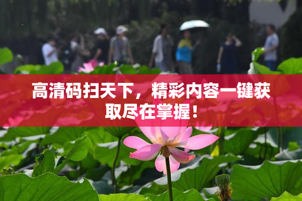 高清码扫天下，精彩内容一键获取尽在掌握！