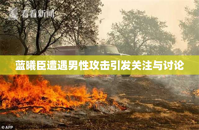 蓝曦臣遭遇男性攻击引发关注与讨论