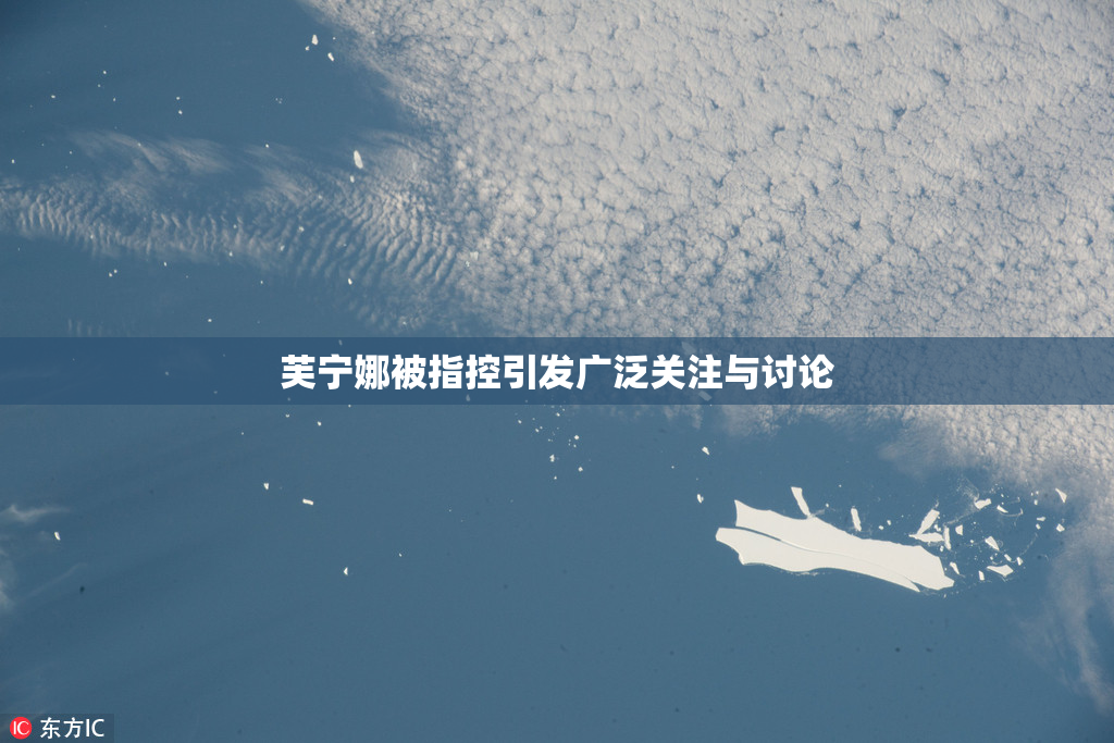 芙宁娜被指控引发广泛关注与讨论