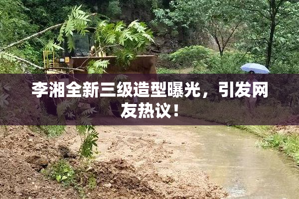 李湘全新三级造型曝光，引发网友热议！