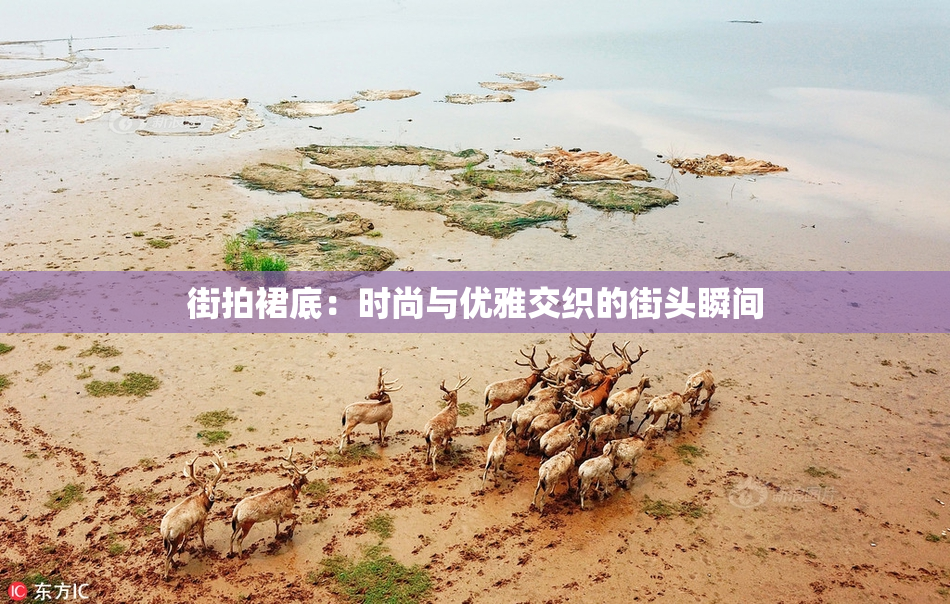 街拍裙底：时尚与优雅交织的街头瞬间