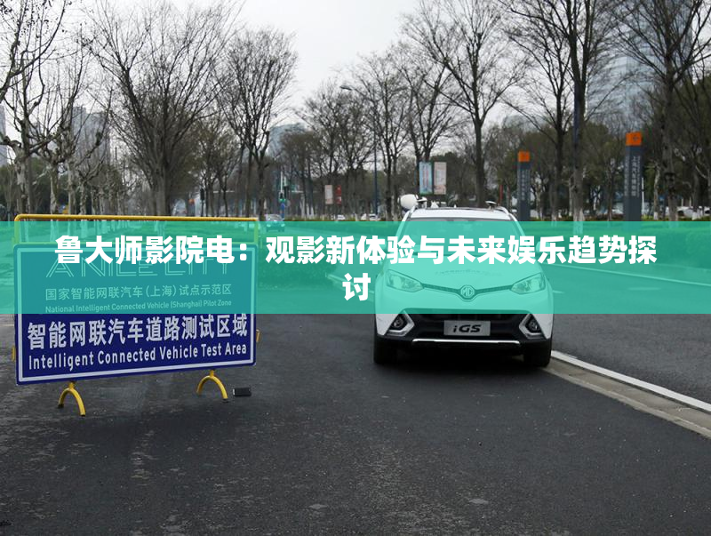 鲁大师影院电：观影新体验与未来娱乐趋势探讨