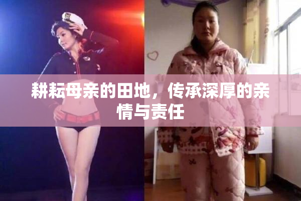 耕耘母亲的田地，传承深厚的亲情与责任