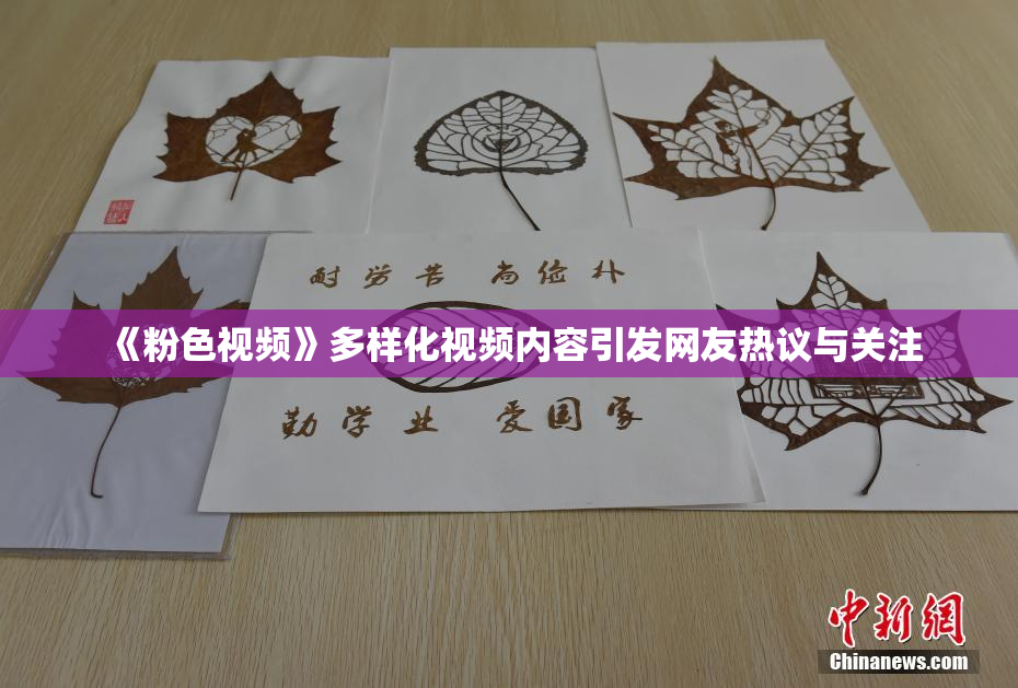 《粉色视频》多样化视频内容引发网友热议与关注