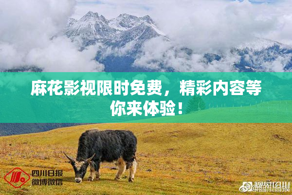 麻花影视限时免费，精彩内容等你来体验！