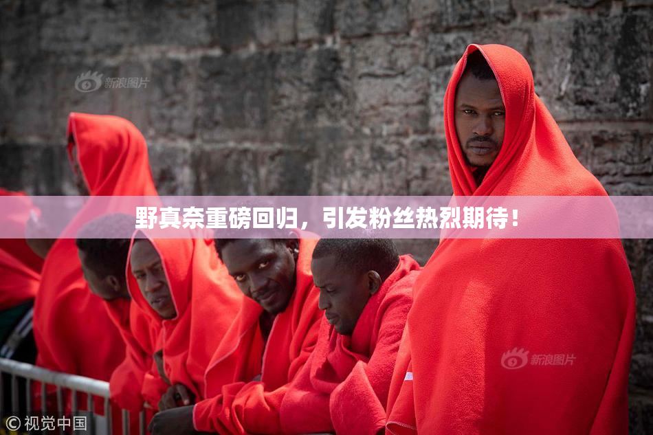 野真奈重磅回归，引发粉丝热烈期待！