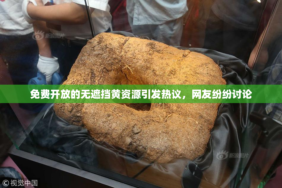 免费开放的无遮挡黄资源引发热议，网友纷纷讨论
