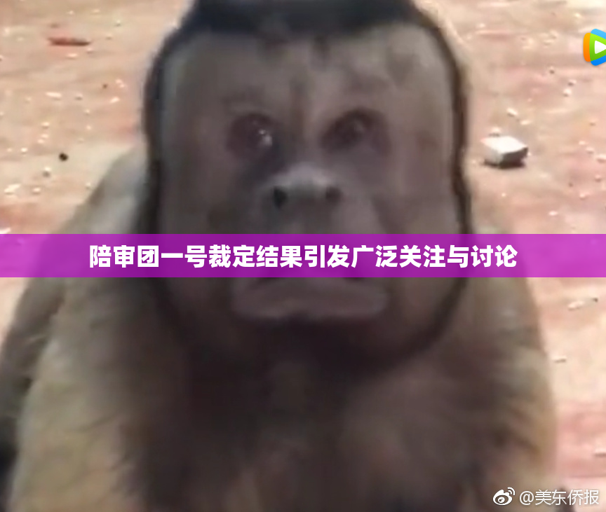 陪审团一号裁定结果引发广泛关注与讨论