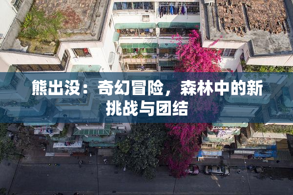 熊出没：奇幻冒险，森林中的新挑战与团结