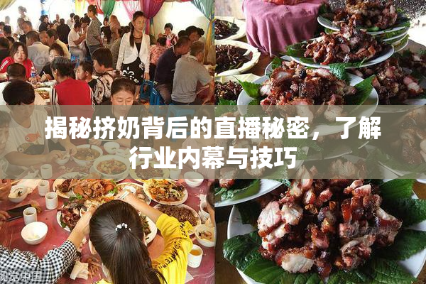 揭秘挤奶背后的直播秘密，了解行业内幕与技巧