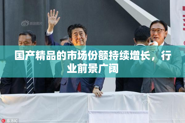 国产精品的市场份额持续增长，行业前景广阔