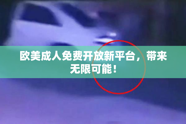 欧美成人免费开放新平台，带来无限可能！