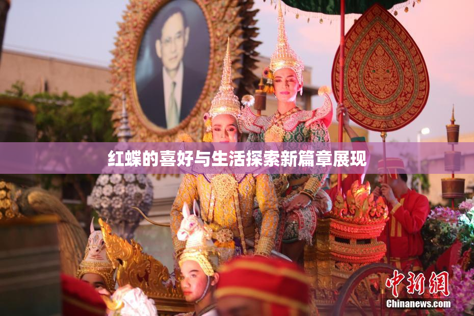 红蝶的喜好与生活探索新篇章展现