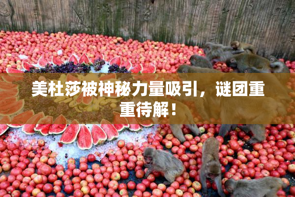 美杜莎被神秘力量吸引，谜团重重待解！