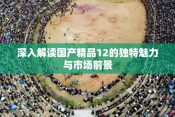 深入解读国产精品12的独特魅力与市场前景