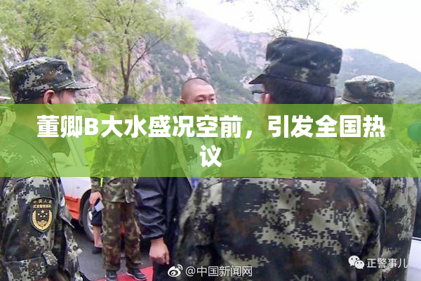 董卿B大水盛况空前，引发全国热议