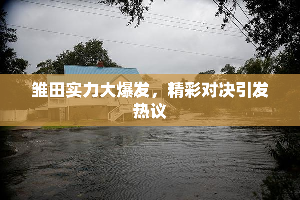 雏田实力大爆发，精彩对决引发热议