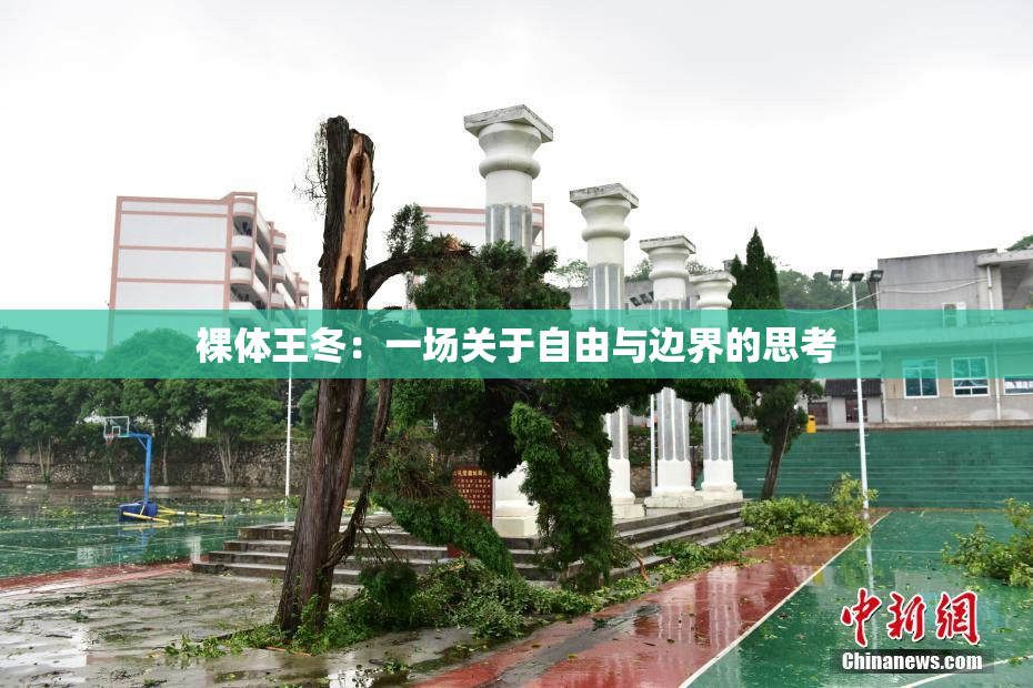 裸体王冬：一场关于自由与边界的思考