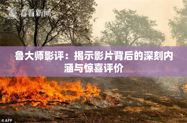 鲁大师影评：揭示影片背后的深刻内涵与惊喜评价