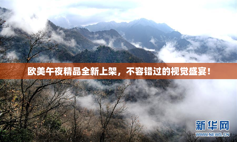 欧美午夜精品全新上架，不容错过的视觉盛宴！