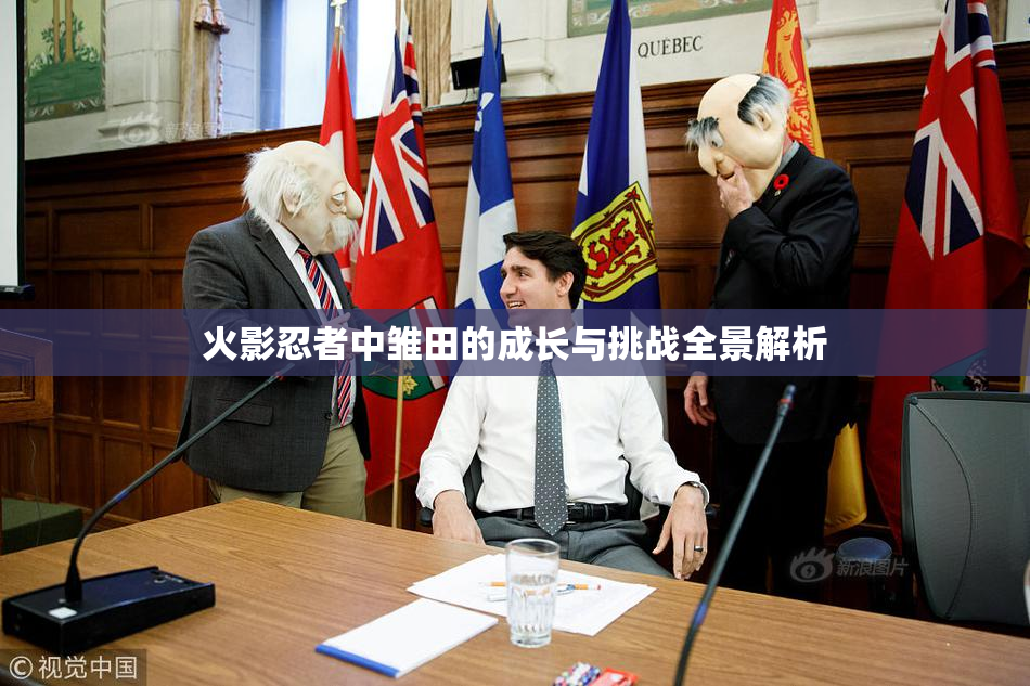 火影忍者中雏田的成长与挑战全景解析