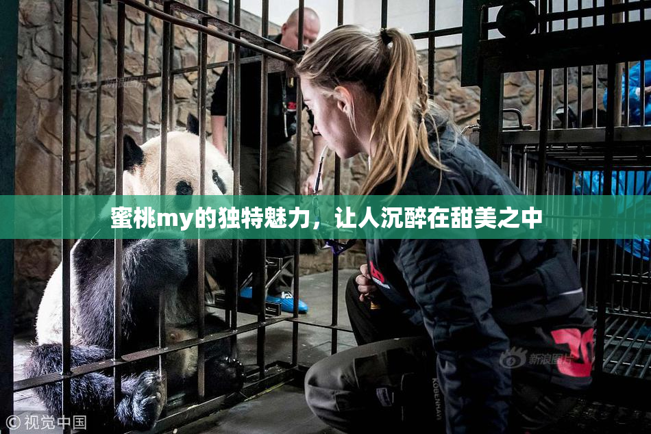 蜜桃my的独特魅力，让人沉醉在甜美之中