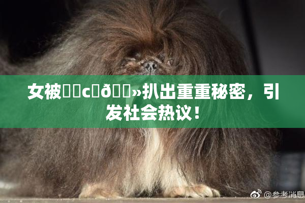 女被❌‌c‌🐻扒出重重秘密，引发社会热议！