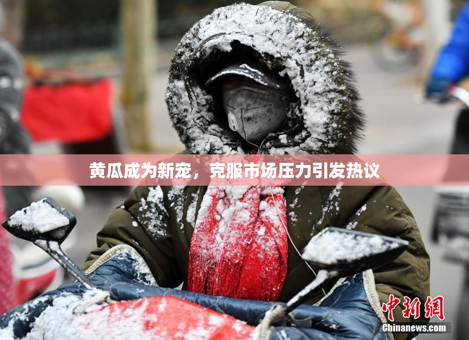 黄瓜成为新宠，克服市场压力引发热议