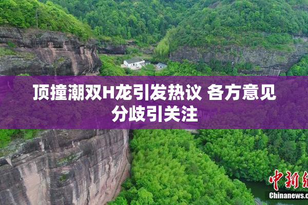 顶撞潮双H龙引发热议 各方意见分歧引关注