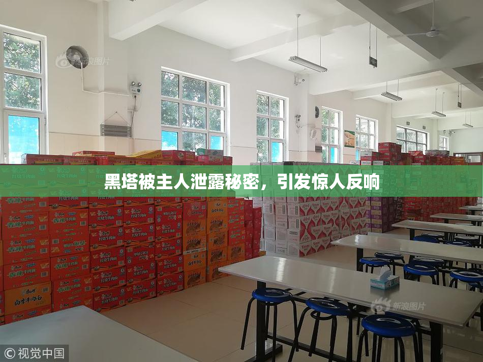 黑塔被主人泄露秘密，引发惊人反响