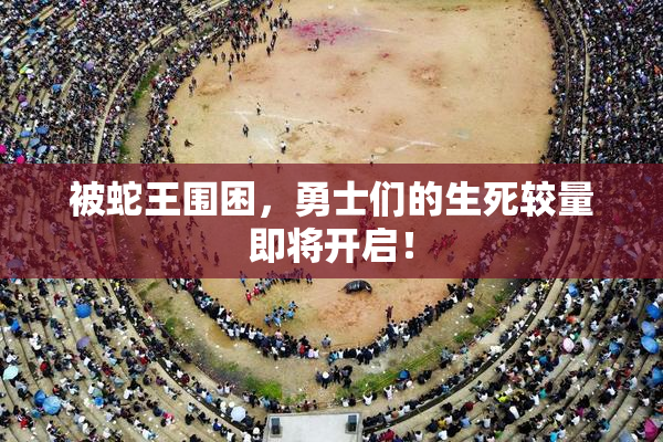 被蛇王围困，勇士们的生死较量即将开启！