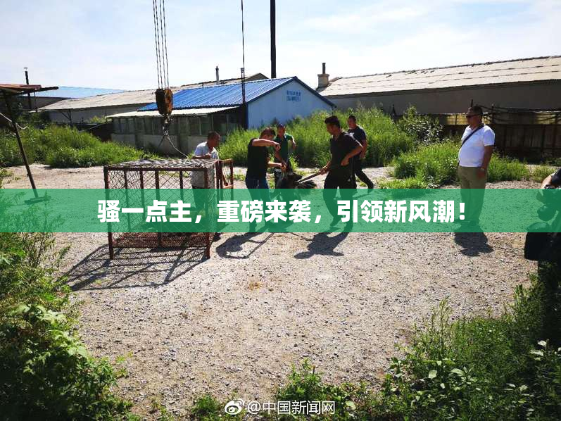 骚一点主，重磅来袭，引领新风潮！