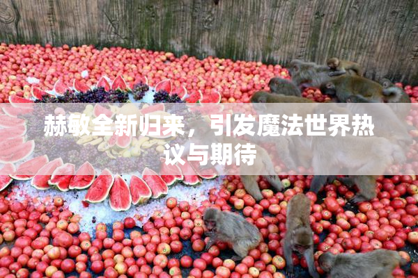赫敏全新归来，引发魔法世界热议与期待