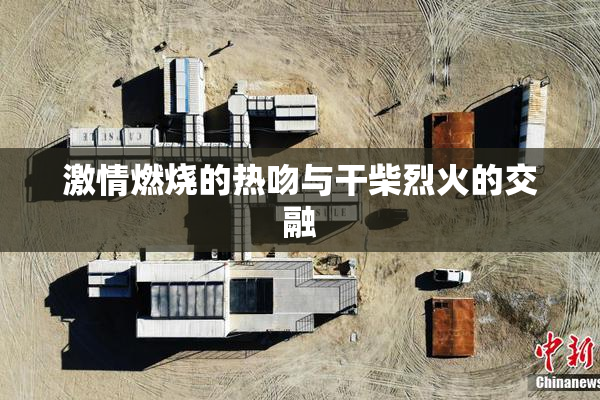 激情燃烧的热吻与干柴烈火的交融