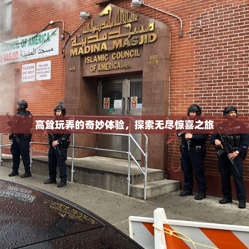高耸玩弄的奇妙体验，探索无尽惊喜之旅