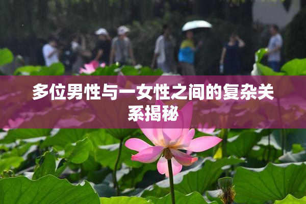 多位男性与一女性之间的复杂关系揭秘